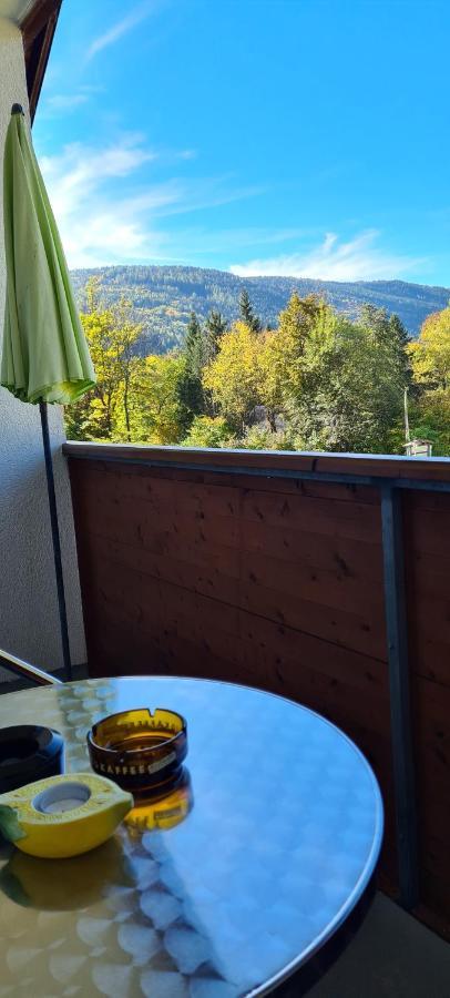 Ferienwohnung Edeltraud, Fusslaeufig Zum See Und 20 Minuten Vom Skigebiet Entfernt Döbriach Extérieur photo