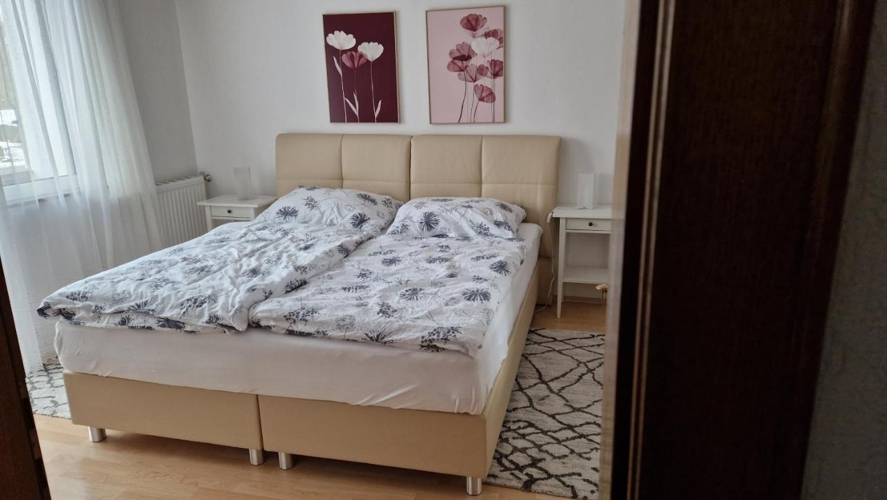 Ferienwohnung Edeltraud, Fusslaeufig Zum See Und 20 Minuten Vom Skigebiet Entfernt Döbriach Extérieur photo